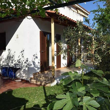 Beautiful Home By The Sea PalaiónTsiflíkion Exterior foto